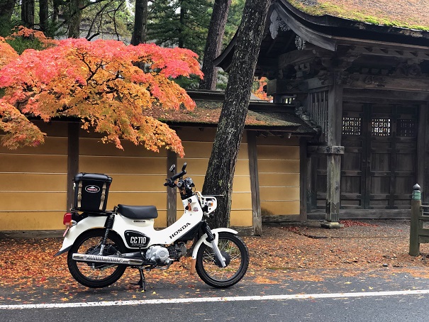 ホンダ　クロスカブ　紅葉