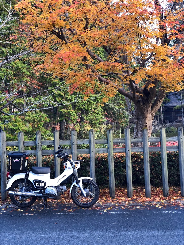 ホンダ　クロスカブ　紅葉